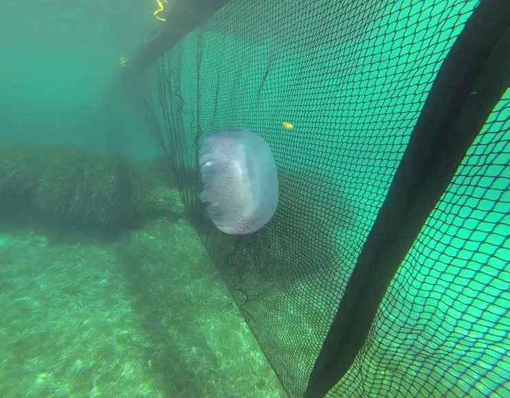 Modulo 20 m barriera anti meduse e anti alghe