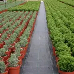Telo di pacciamatura per piante orto e giardino - cod.PM009