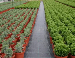 Telo di pacciamatura per piante orto e giardino - cod.PM009