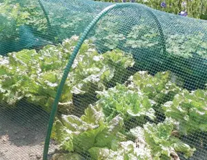 Reti e teli agricoltura e giardinaggio