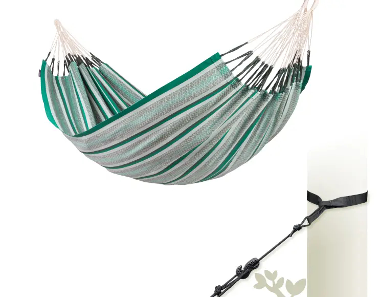 AMACA  classica AGAVE