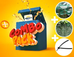 COMBO ORTO
