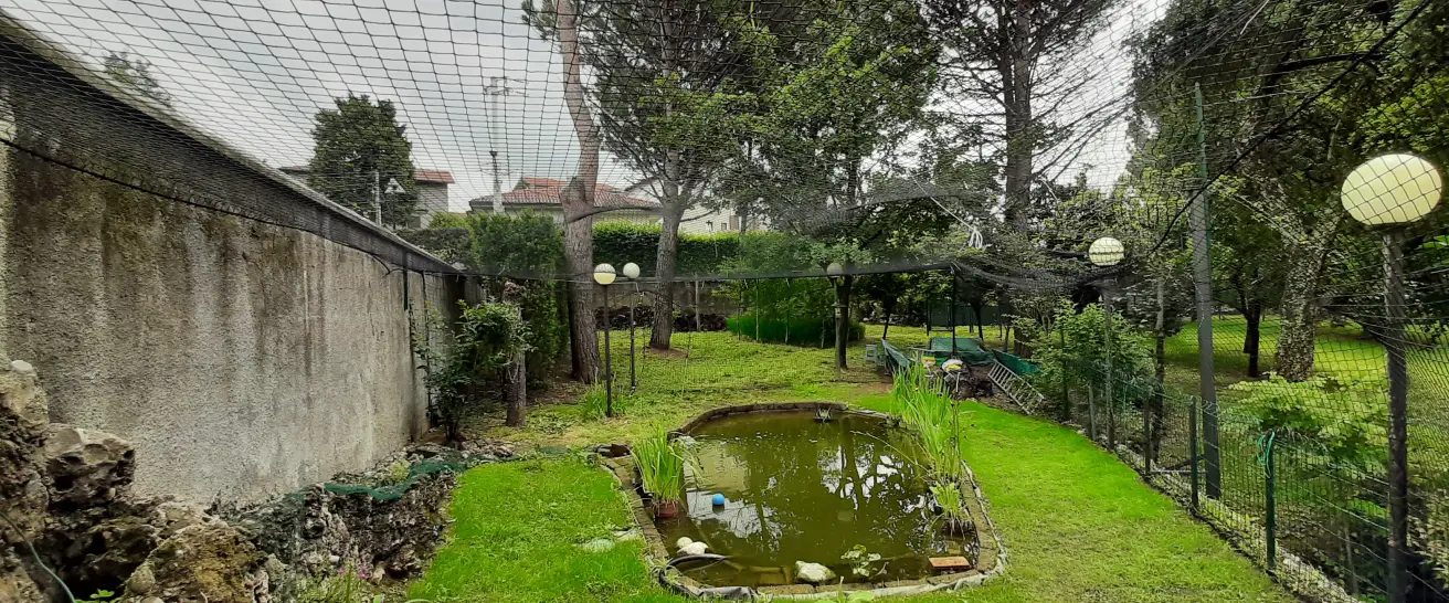 20230613-Vista-lato-giardino.webp