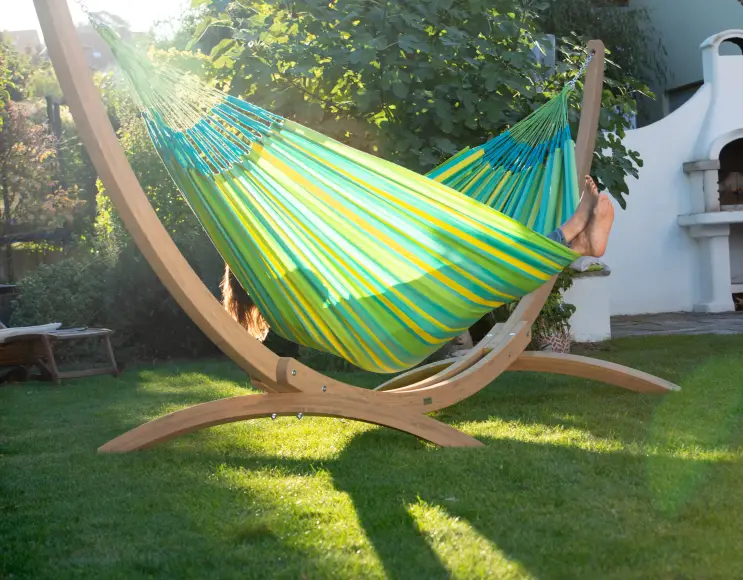 AMACA  classica LIME